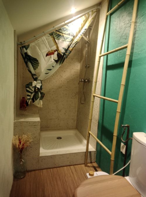 Douche - Salle de bain-1